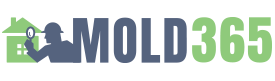mold-365.com