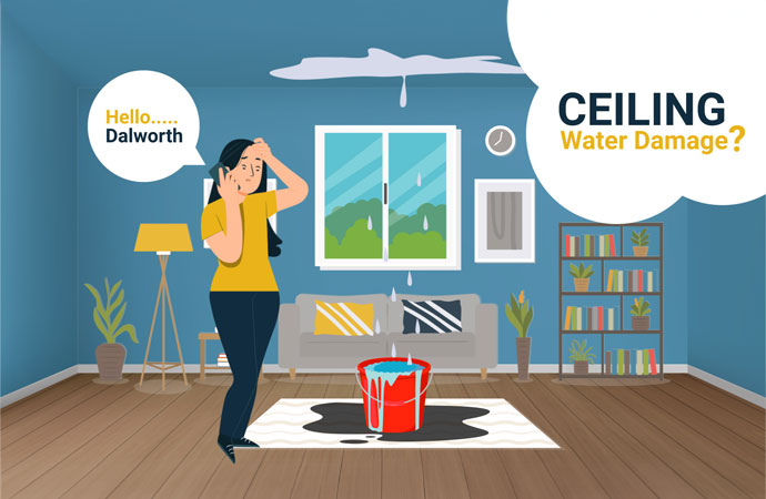 Ceiling Water Damage Explainer Motion Video Thumb Image