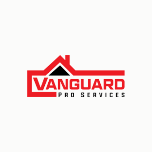 VanGuard Pro Services