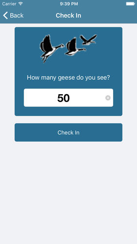 Check in to a location and enter number of geese found