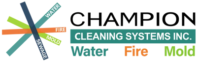 Champion Cleaning Systems Logo